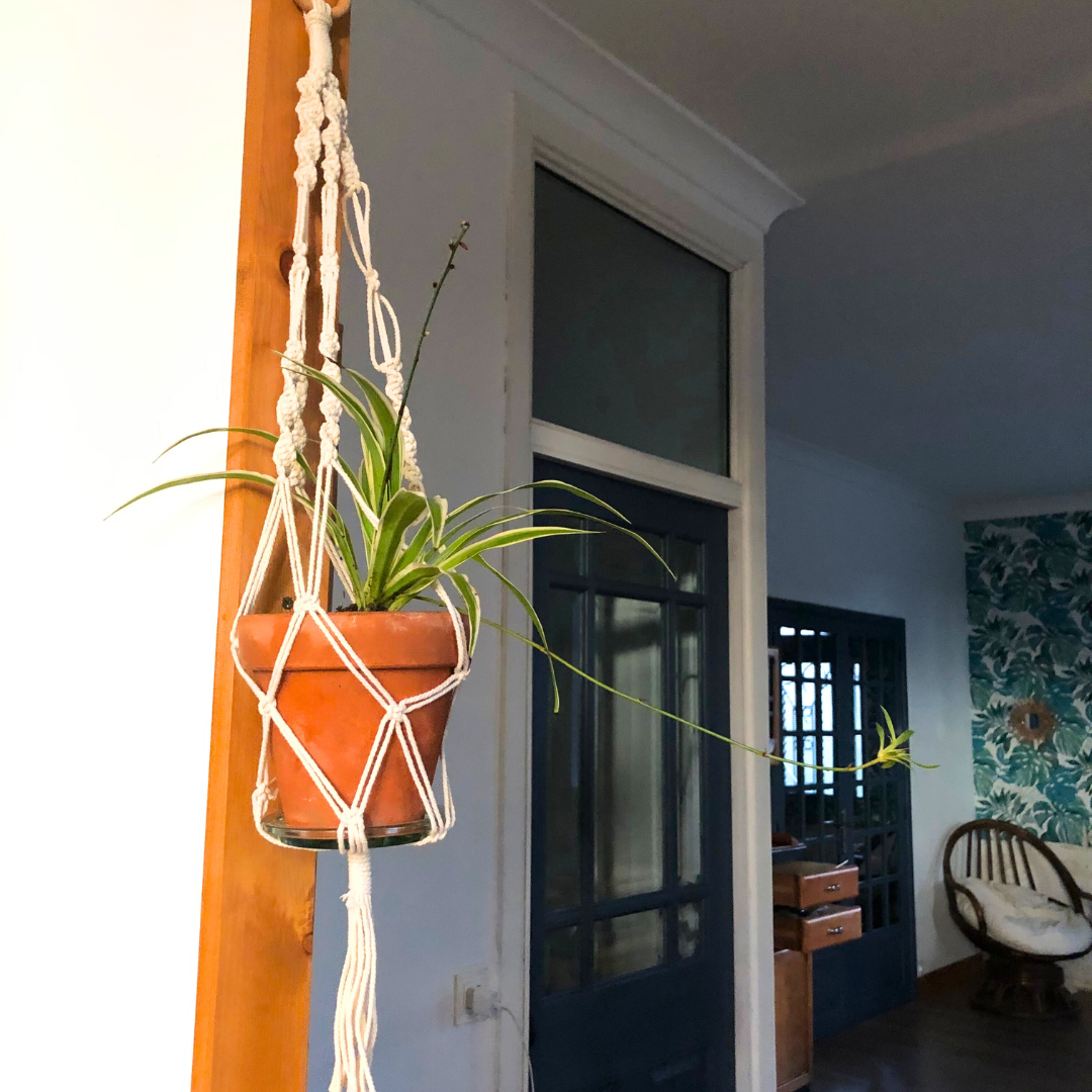 kit suspension macramé