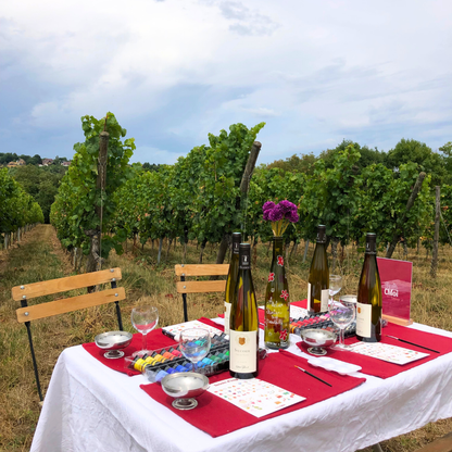 Atelier Peinture et vignes 🍇